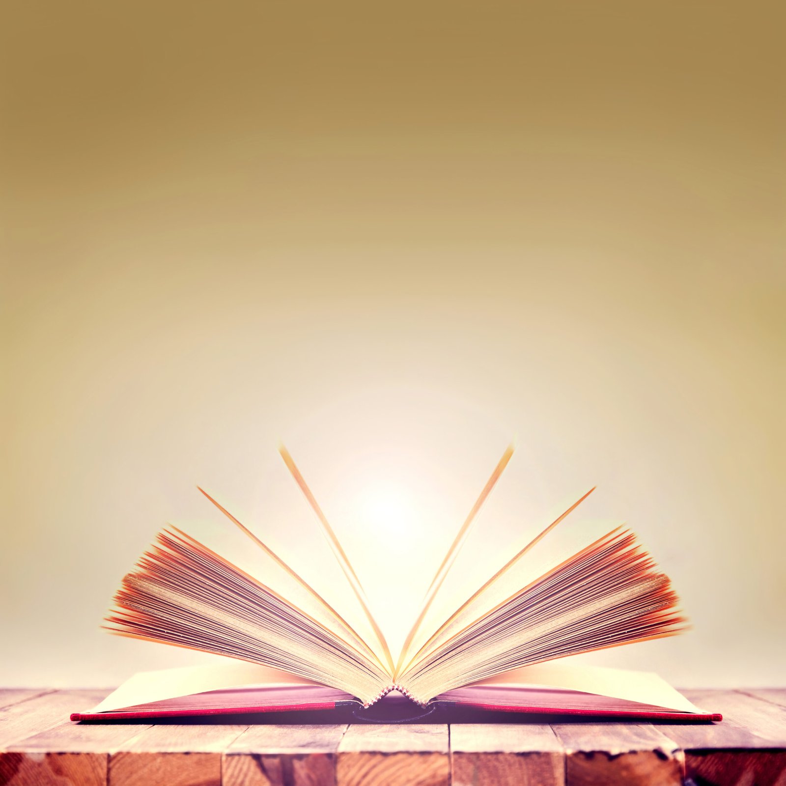 Magic Book Icon